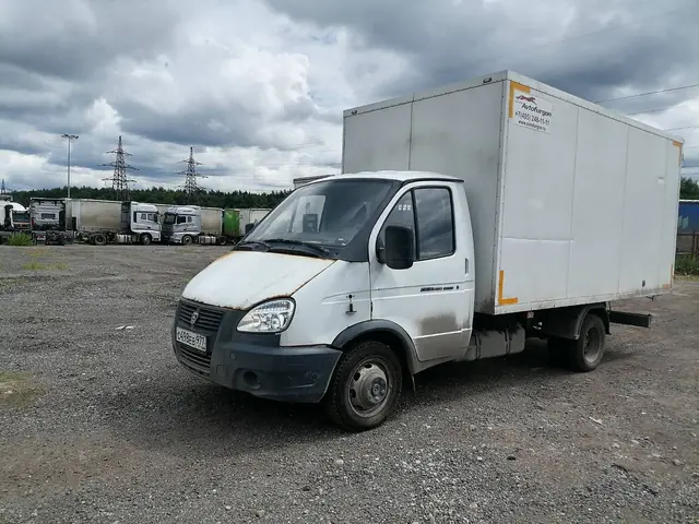 ГАЗ GAZELLE BUSINESS 3009A3, фото 2