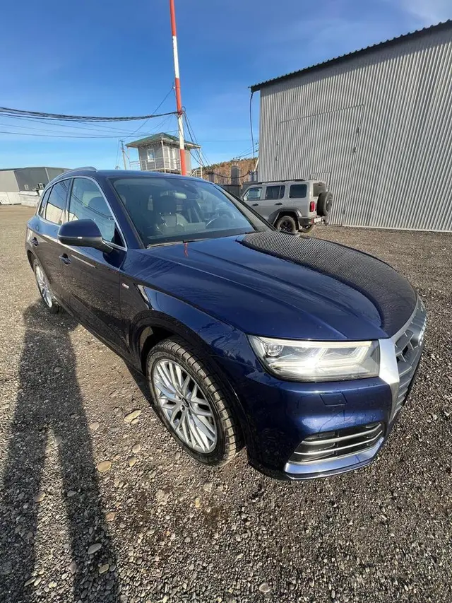 Audi Q5, фото 5