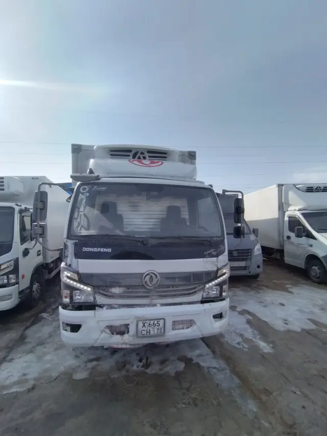 DONGFENG Z55L, фото 2