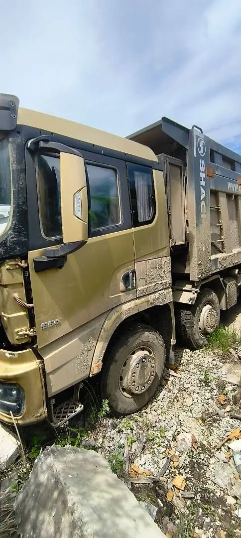 Shacman SX* 8x4 Самосвал, фото 4