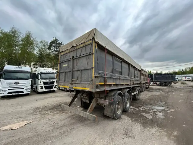 Автомастер 8596* Прицеп зерновоз, фото 5