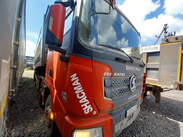 Shacman SX* 8x4 Самосвал, фото 2