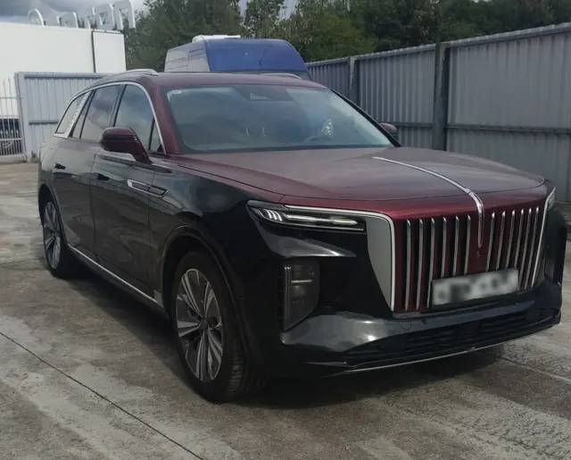 Hongqi E-HS9, фото 2