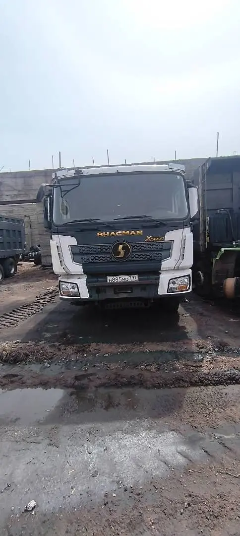 Shacman SX* 8x4 Самосвал, фото 2