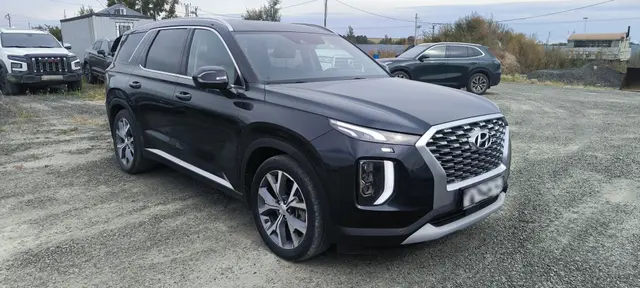 Hyundai Palisade, фото 2