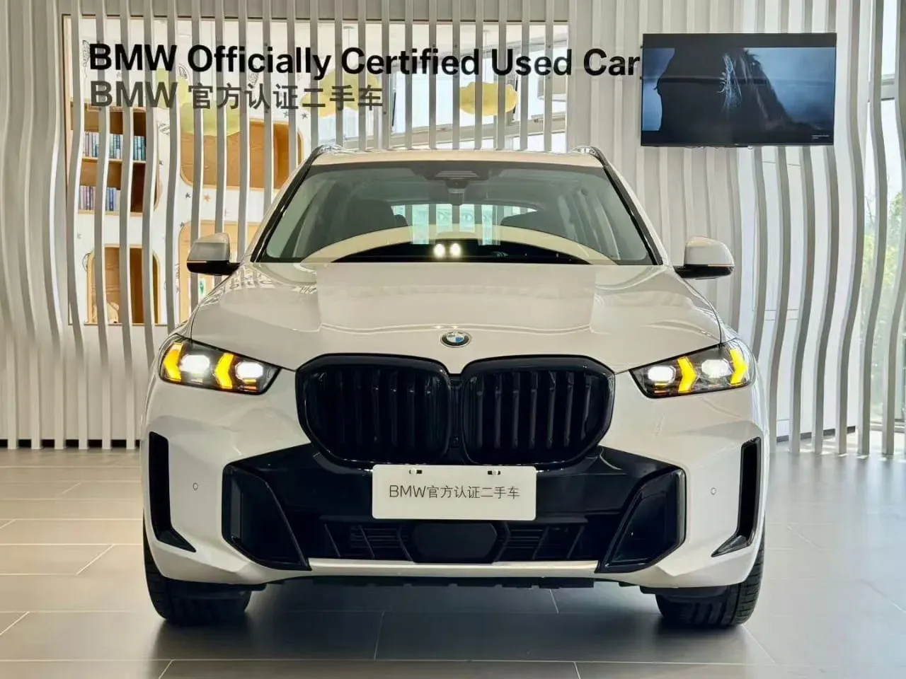 BMW X 5 Exclusive, фото 2