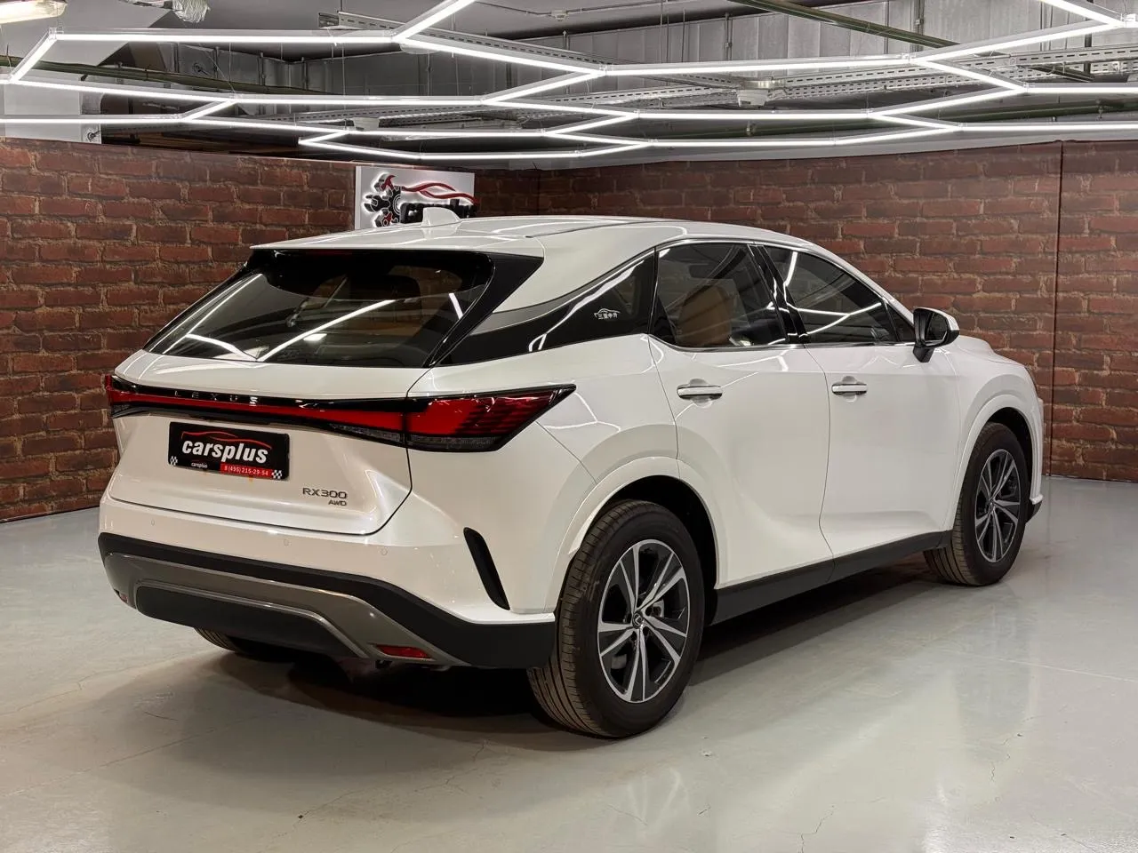 Lexus RX Enjoy, фото 4