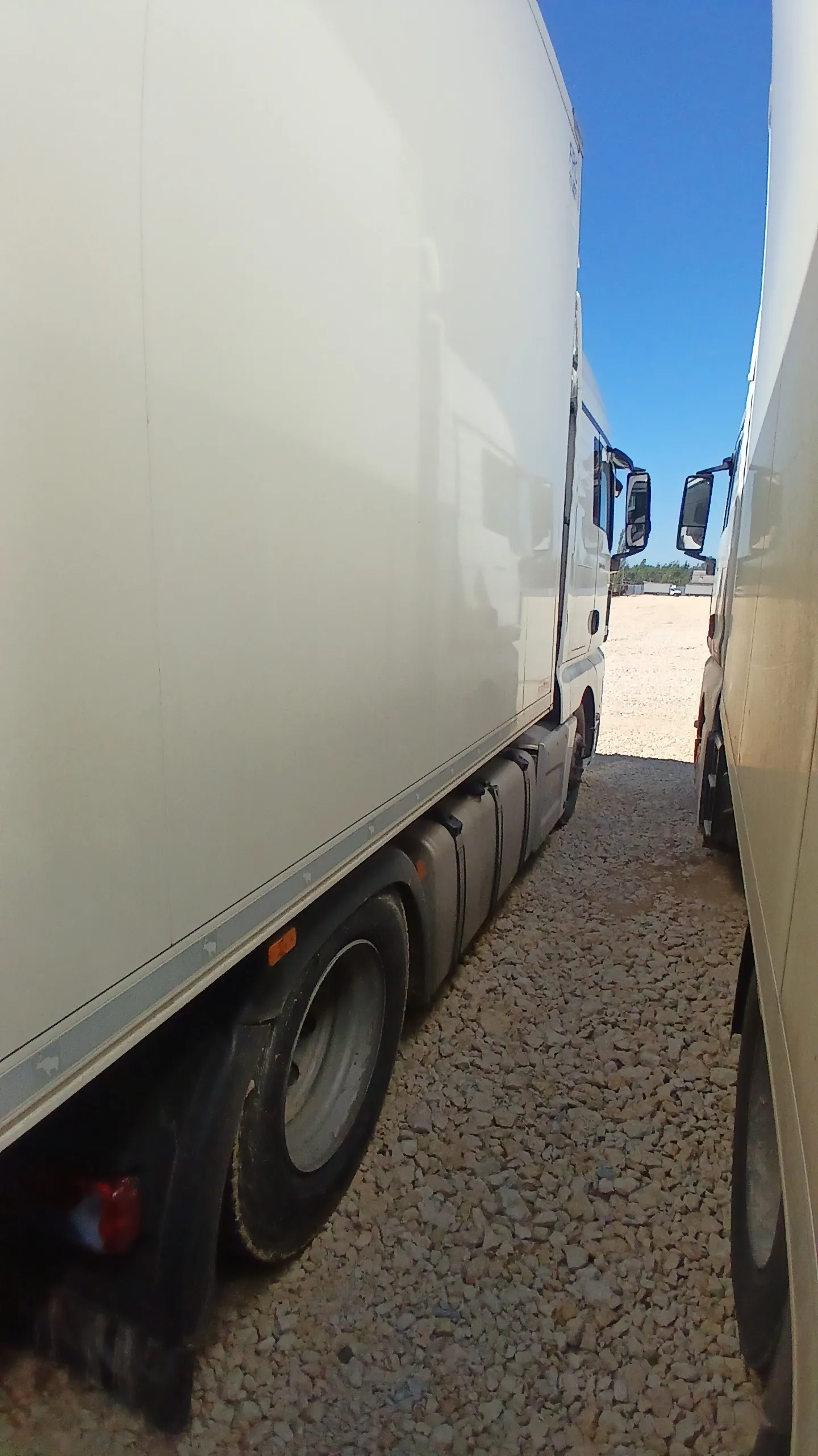 MAN TGX, фото 5