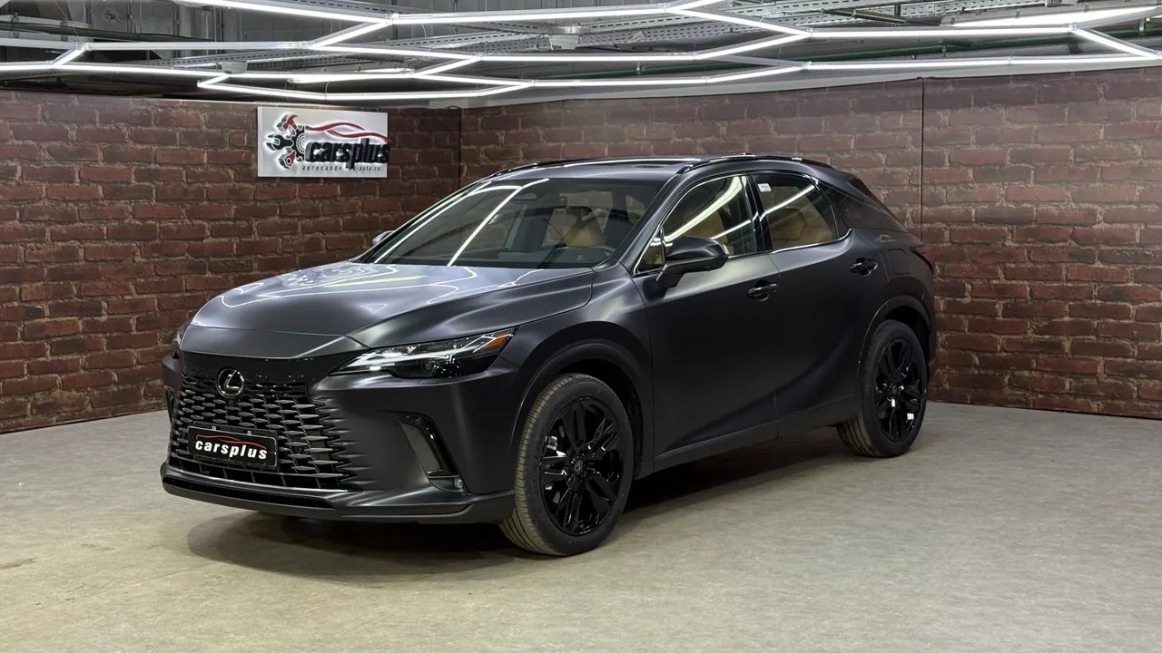 Lexus RX Enjoy, фото 2