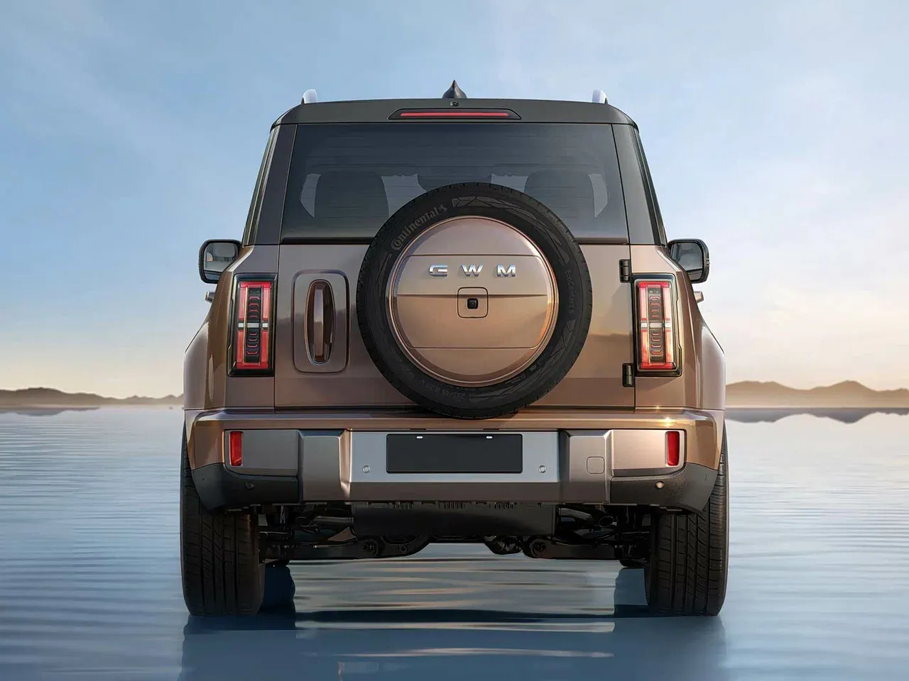 Haval H10 Max, фото 4