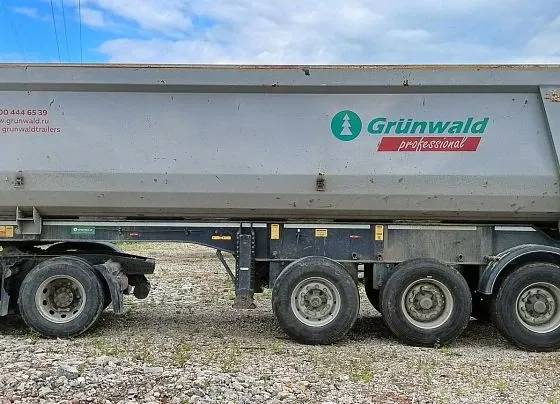 Grunwald 9453-0000010-50, фото 4
