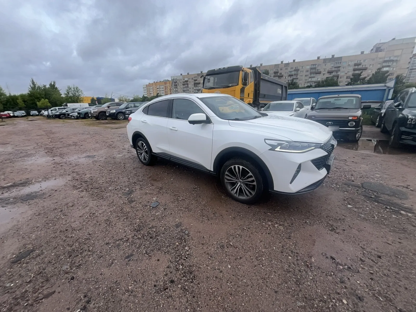 Haval F7x, фото 2