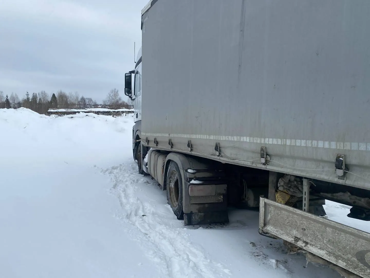 Fliegl SDS* Полуприцеп Шторный/Бортовой, фото 2