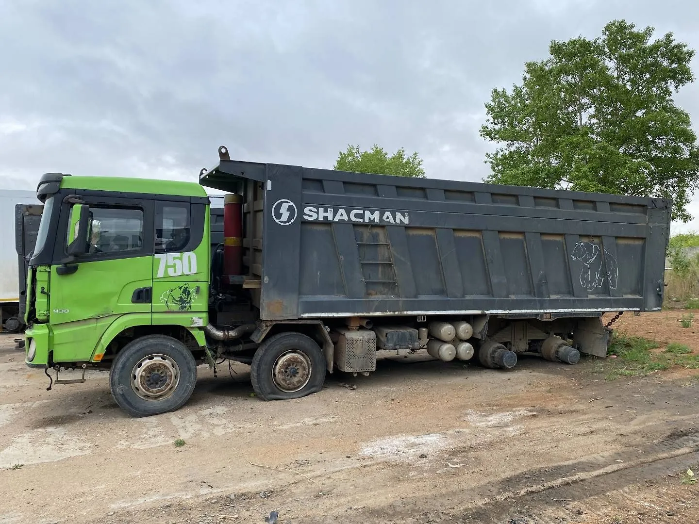 Shacman SX* 8x4 Самосвал, фото 4
