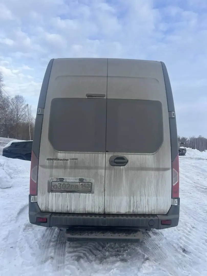 ГАЗ GAZELLE NEXT Автобус, фото 5