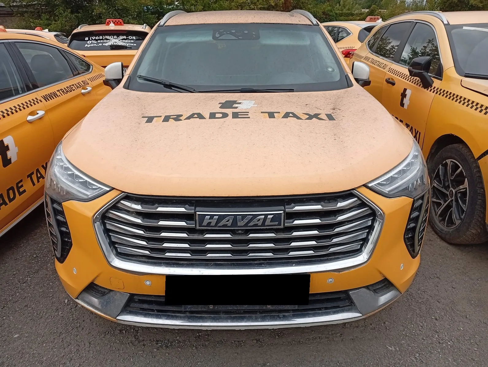Haval Jolion, фото 2