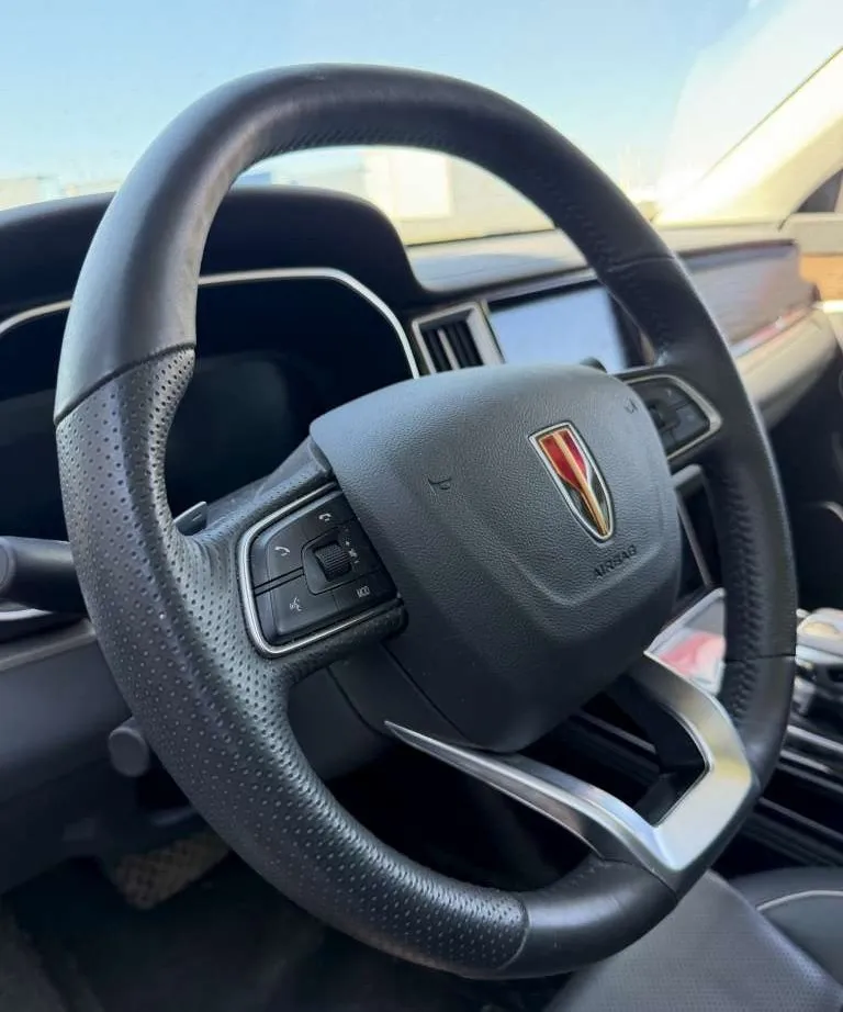 Hongqi HS7, фото 5