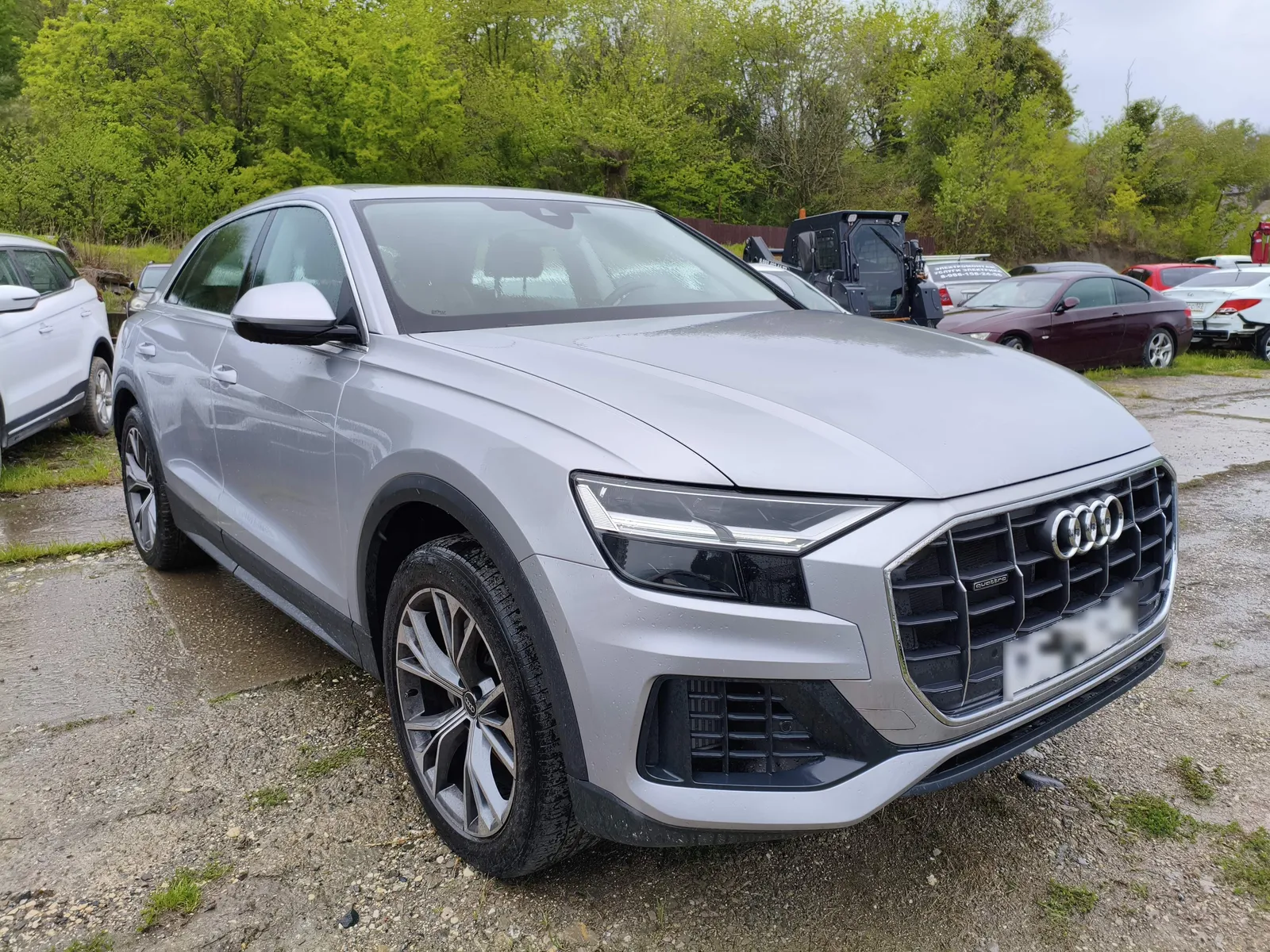 Audi Q8, фото 2