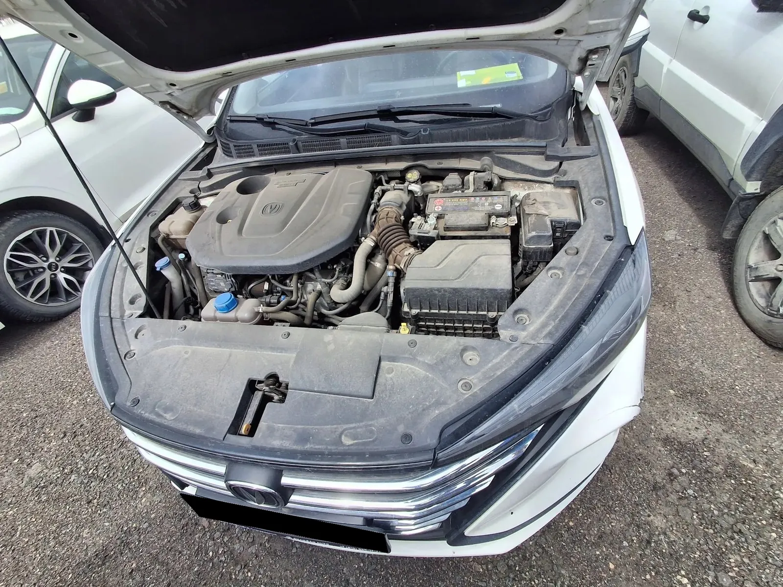 Changan Eado Plus, фото 5
