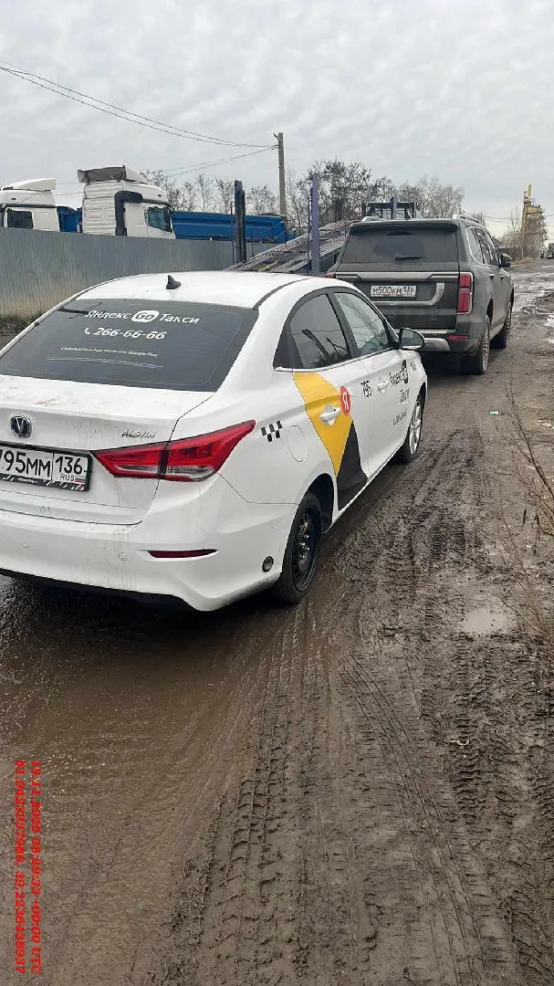 Changan Alsvin Стандарт 1.5 АТ, фото 2