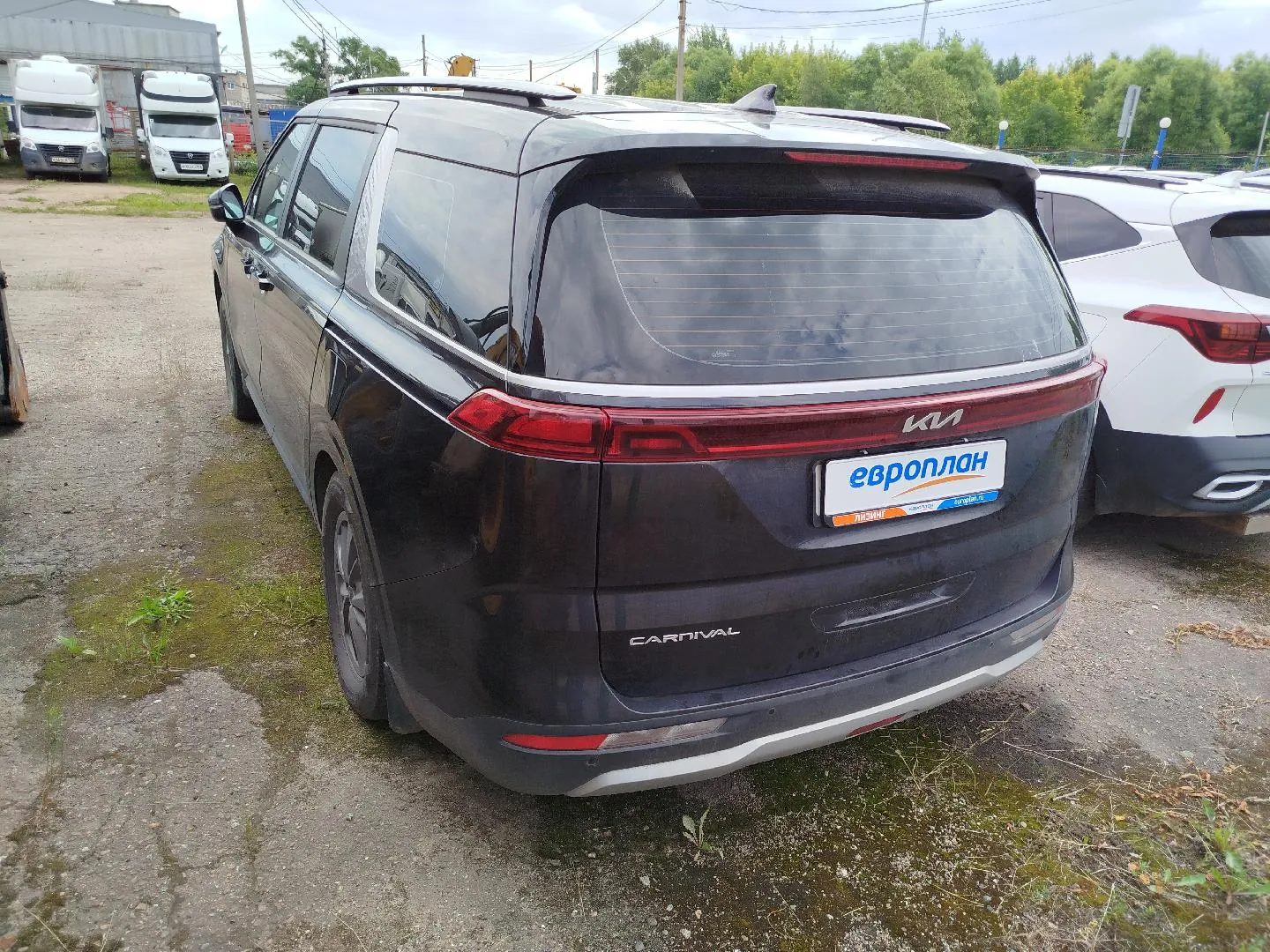 Kia Carnival Люкс 2.2 дизель АТ, фото 4