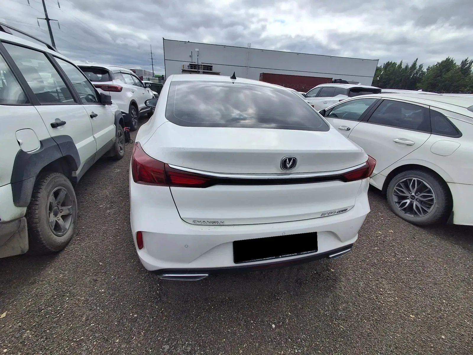 Changan Eado Plus, фото 3
