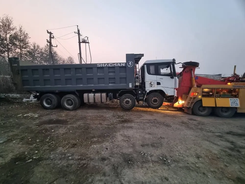 Shacman SX* 8x4 Самосвал, фото 2