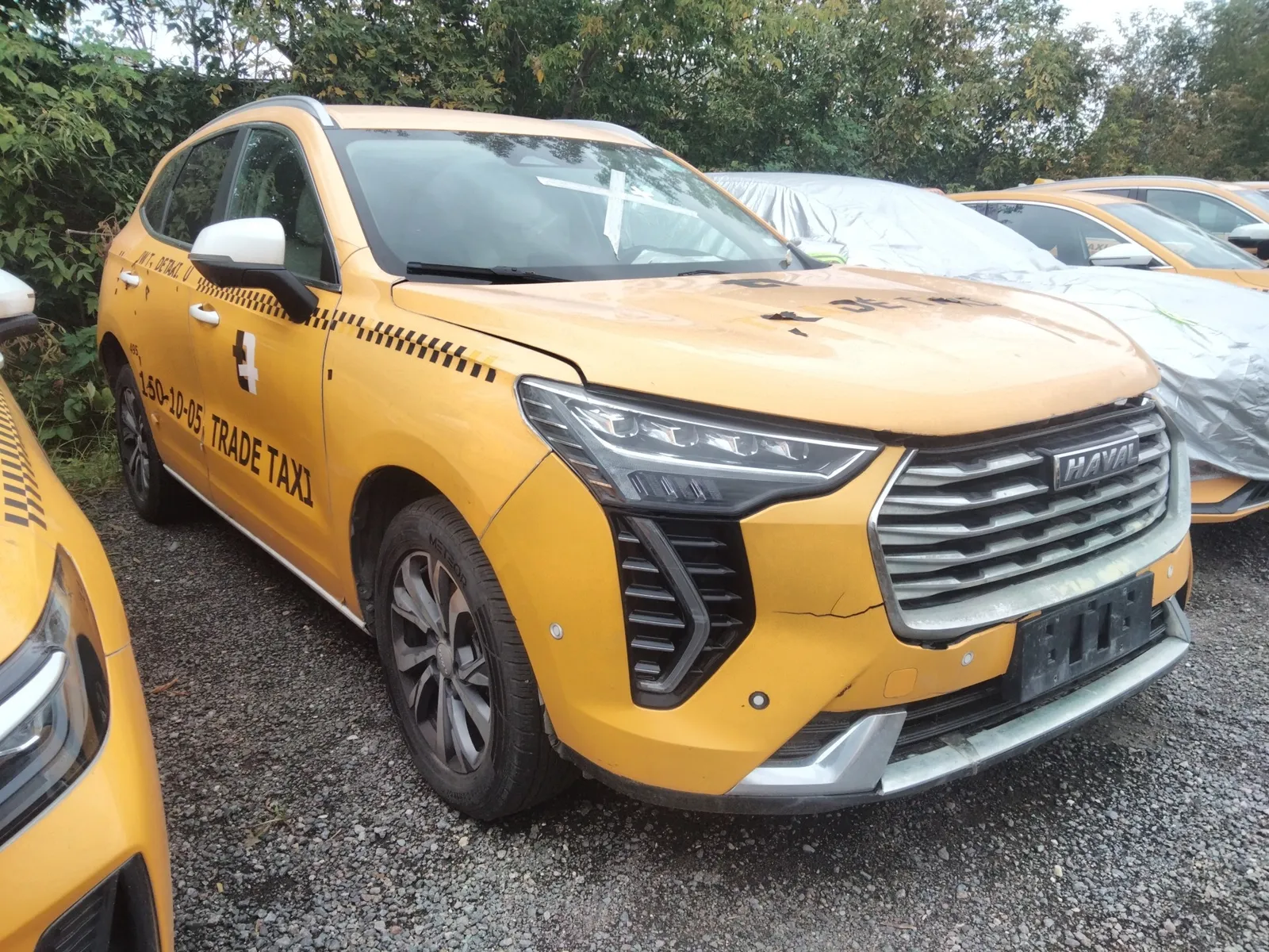 Haval Jolion, фото 3